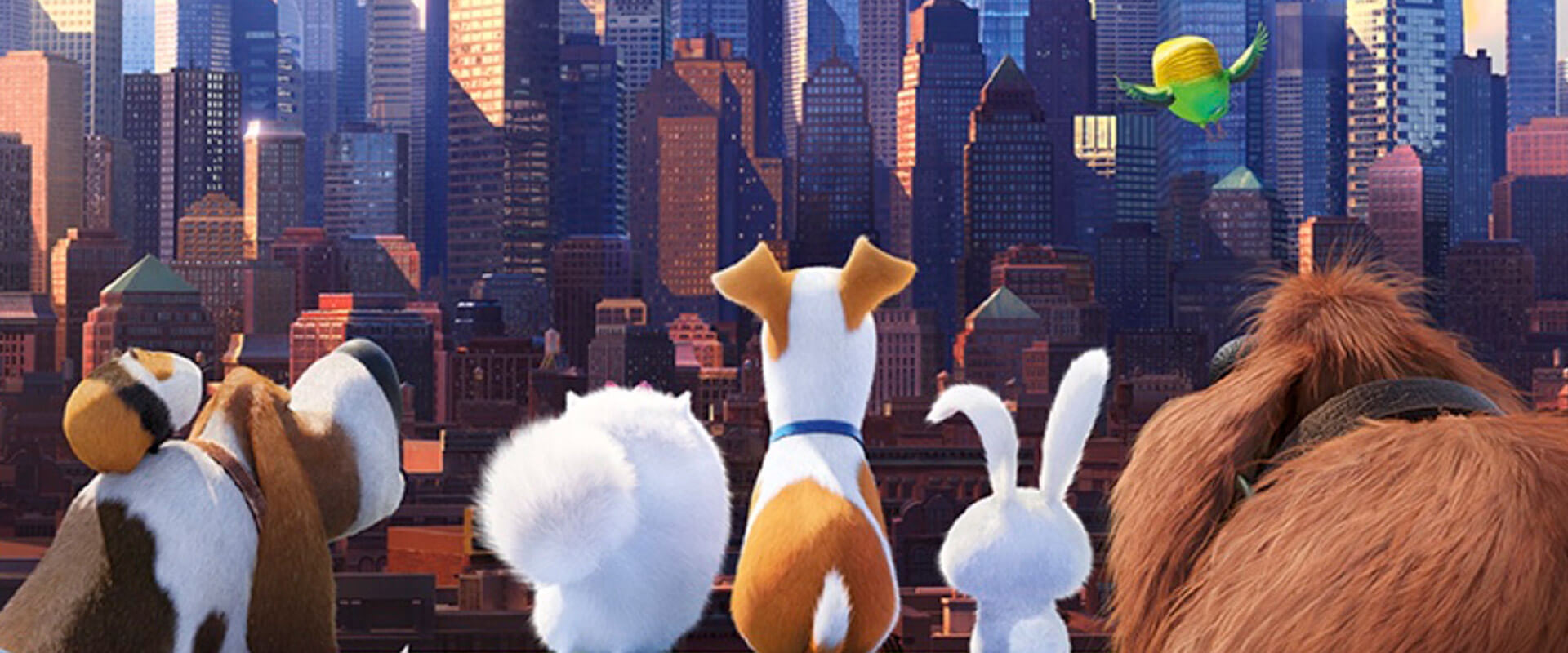 https://www.udxfpp.com/storage/life-of-pets-banner-598e2c6084f78.jpeg